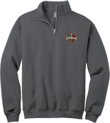 Delaware Ducks NuBlend 1/4-Zip Cadet Collar Sweatshirt