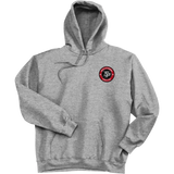 South Pittsburgh Rebellion Ultimate Cotton - Pullover Hooded Sweatshirt