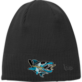 Boca Barracudas New Era Knit Beanie