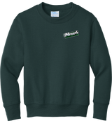 Nitro Soccer Youth Core Fleece Crewneck Sweatshirt